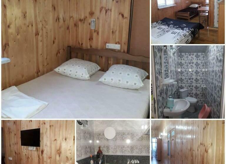 پانسیون L  Amitié