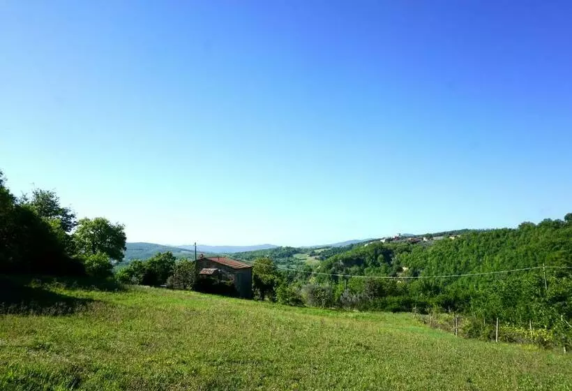 Casale Amerina