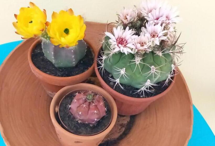 La Casa Dell Adri B&b Con Camino