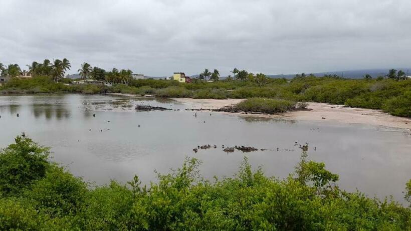 פנסיון My House