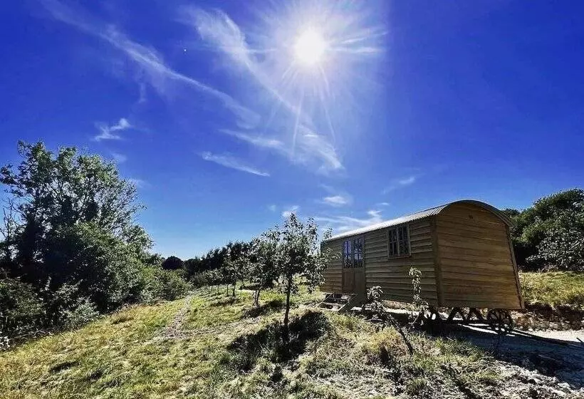 Robins Retreat   Orchard With Hot Tub   See Extras