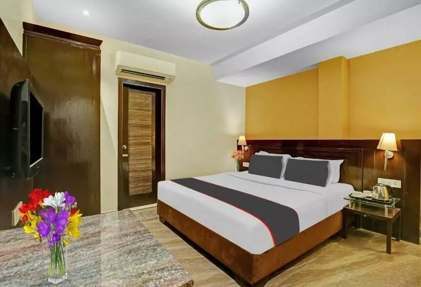 Collection O Hotel Royal Jihaan