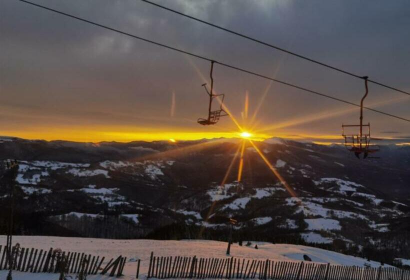 פנסיון Coconea S Home