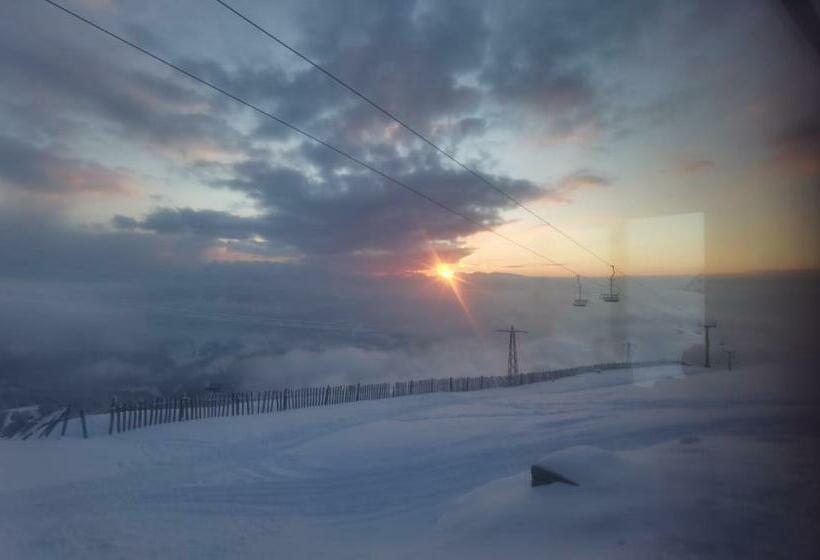 פנסיון Coconea S Home