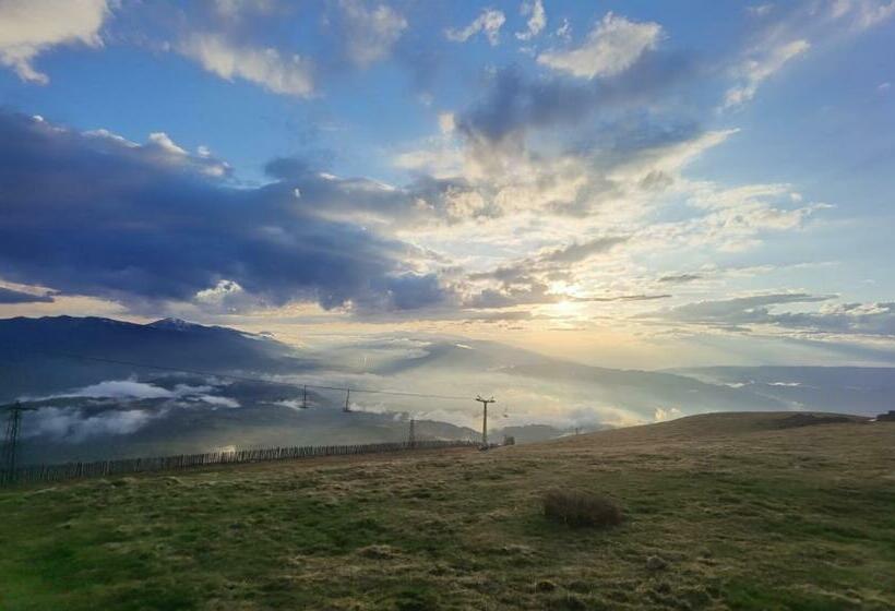 פנסיון Coconea S Home