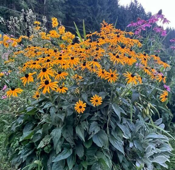 פנסיון Palazzo Cervesato: Camera Regina Margherita