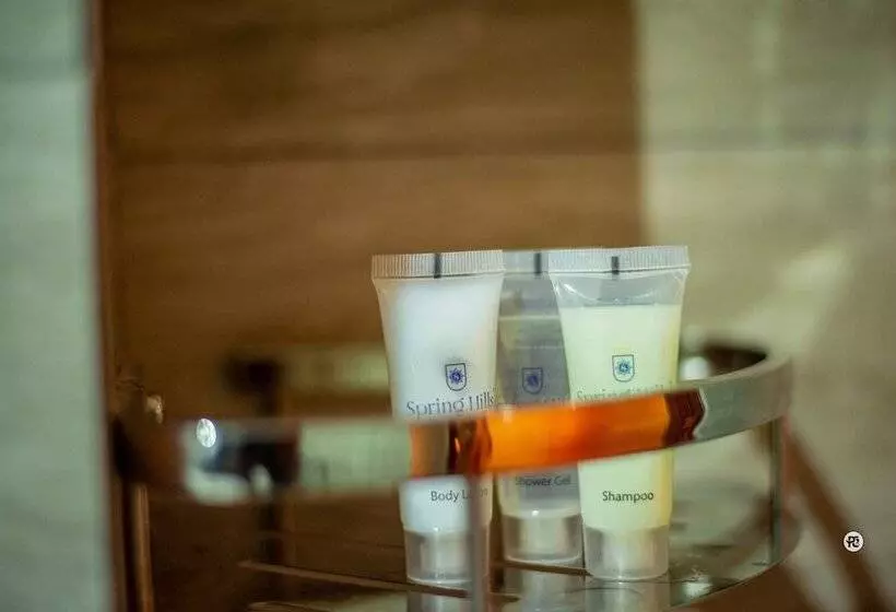 Spring Hills Hotel Dodoma