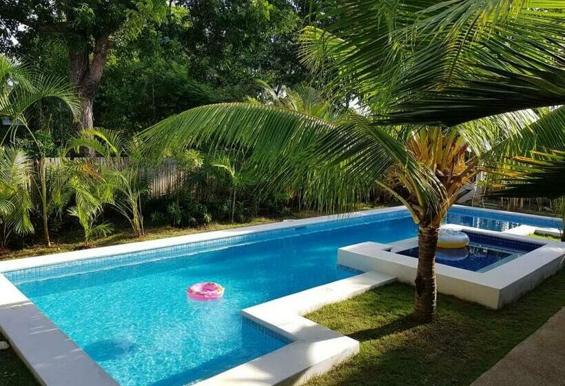 Champagne Palm Resort