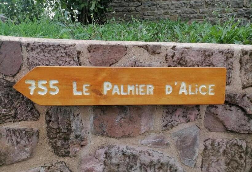 住宿加早餐 Le Palmier D Alice