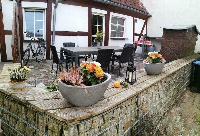 Schöne Große Wohnung, Terrasse, Kamin, Parkplatz, 2 Schlafzimmer