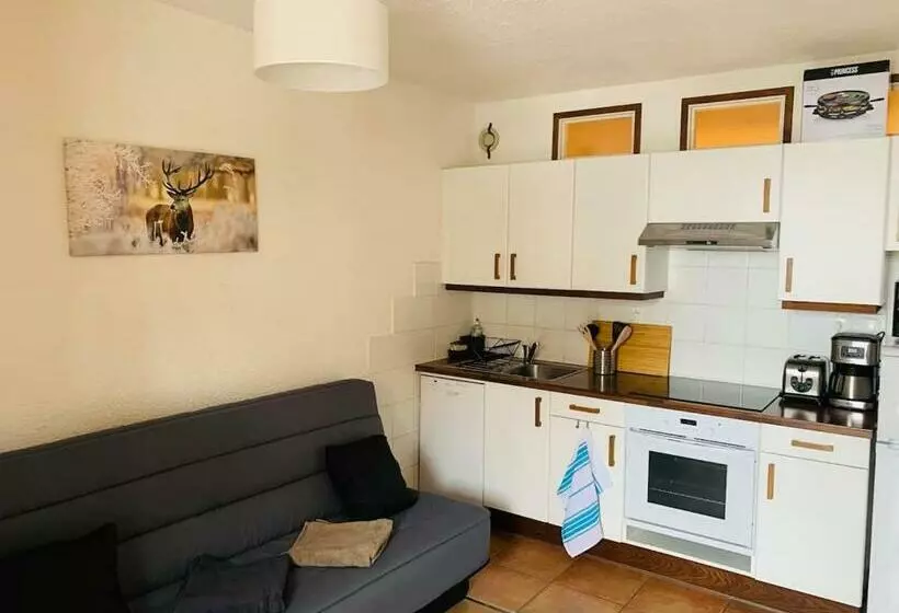 30 Réduction Sur Location Skis Et Matériel ! Appartement 2 Alpes Coeur Station