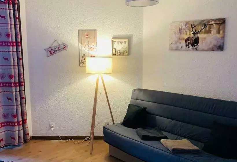 30 Réduction Sur Location Skis Et Matériel ! Appartement 2 Alpes Coeur Station