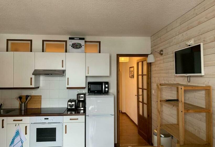 30 Réduction Sur Location Skis Et Matériel ! Appartement 2 Alpes Coeur Station