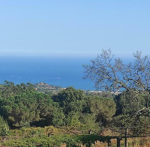 Apartamentos Can Bruguera 3