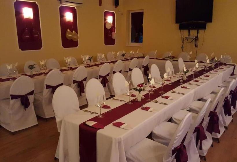 호텔 Bacchus Panzió