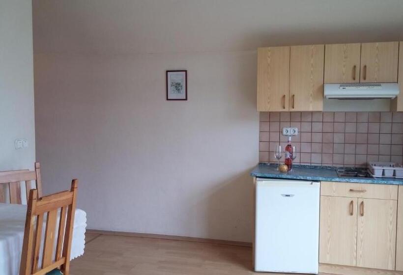 호텔 Bacchus Panzió