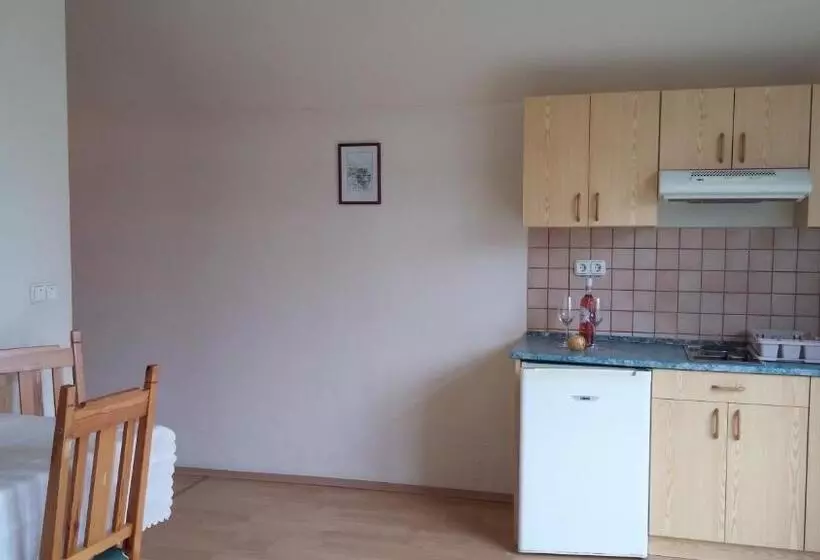 호텔 Bacchus Panzió