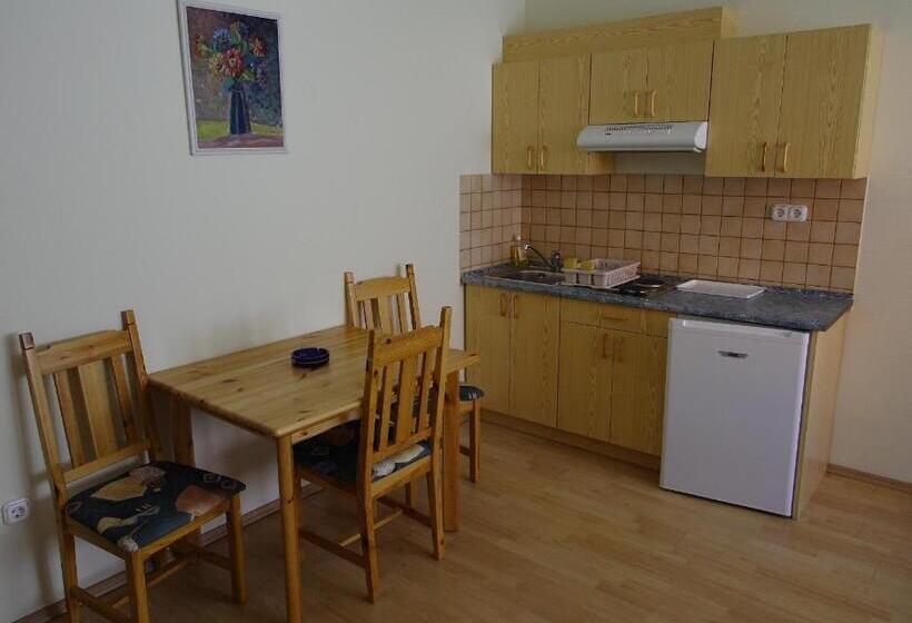 호텔 Bacchus Panzió