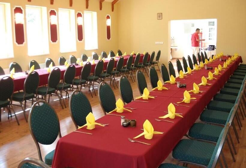 호텔 Bacchus Panzió