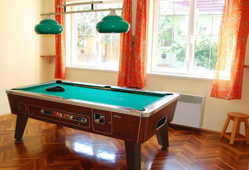 호텔 Bacchus Panzió