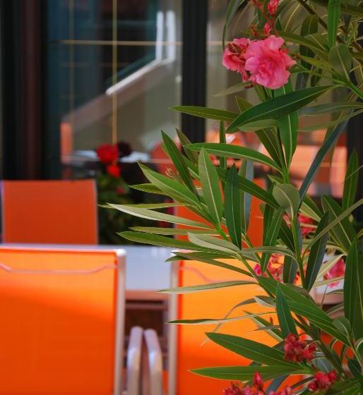 호텔 Bacchus Panzió