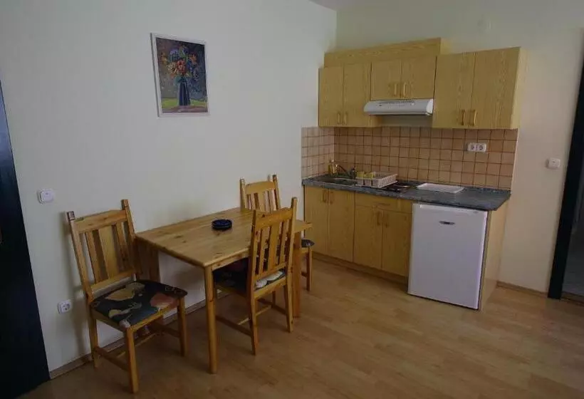 호텔 Bacchus Panzió