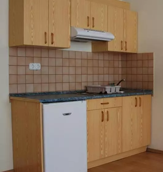 호텔 Bacchus Panzió