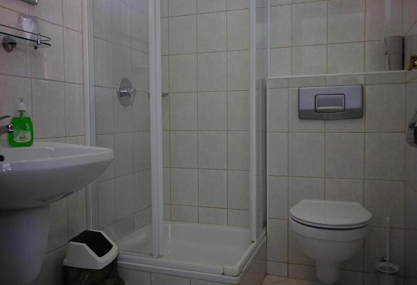 호텔 Bacchus Panzió