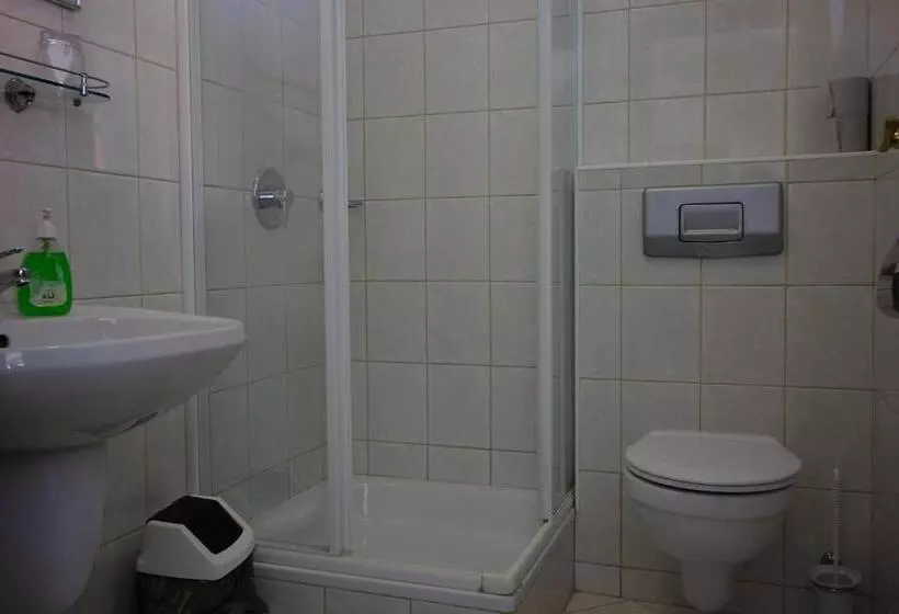 호텔 Bacchus Panzió