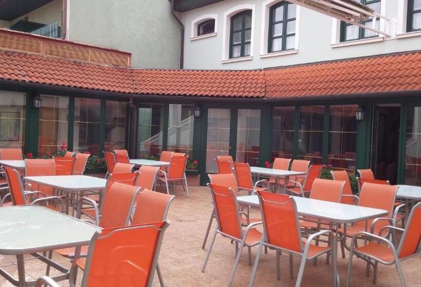 호텔 Bacchus Panzió