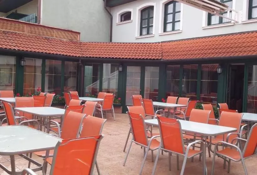 호텔 Bacchus Panzió