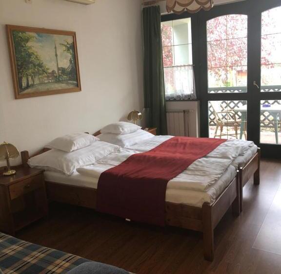 호텔 Bacchus Panzió