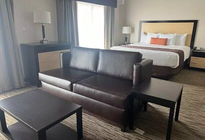 酒店 Best Western Plus Landmark