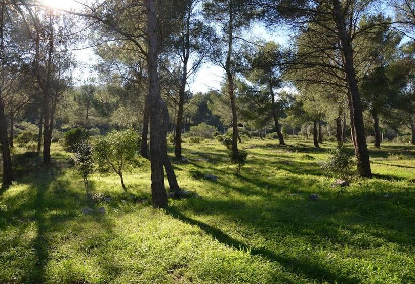 酒店 Le Grand Canal