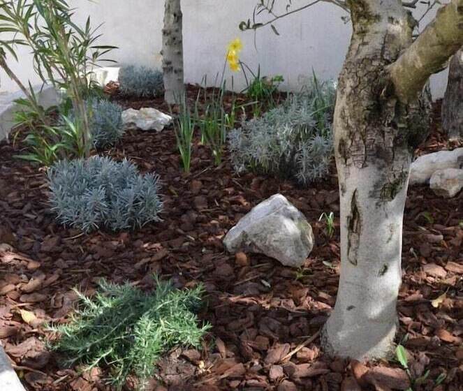 酒店 Le Grand Canal