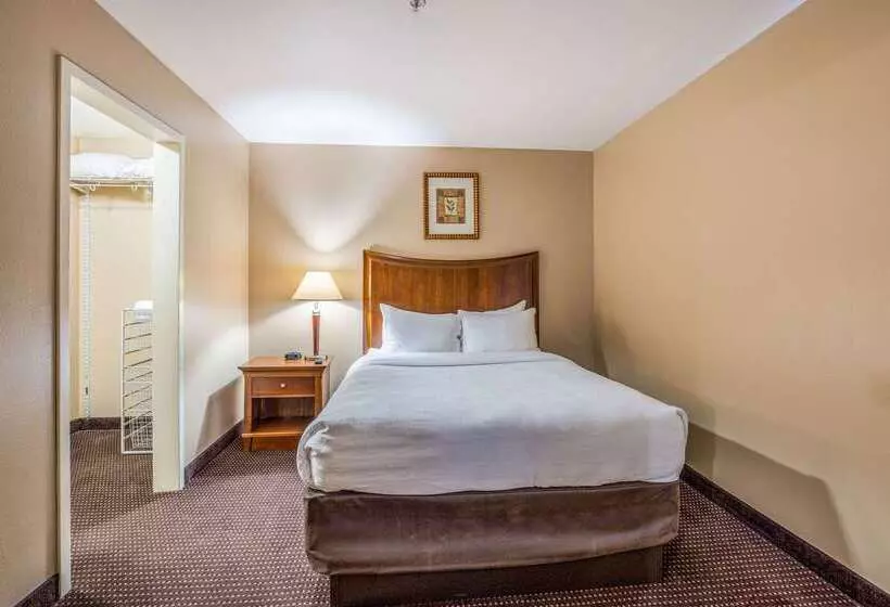 בית מלון כפרי Mainstay Suites Port Saint Joe South