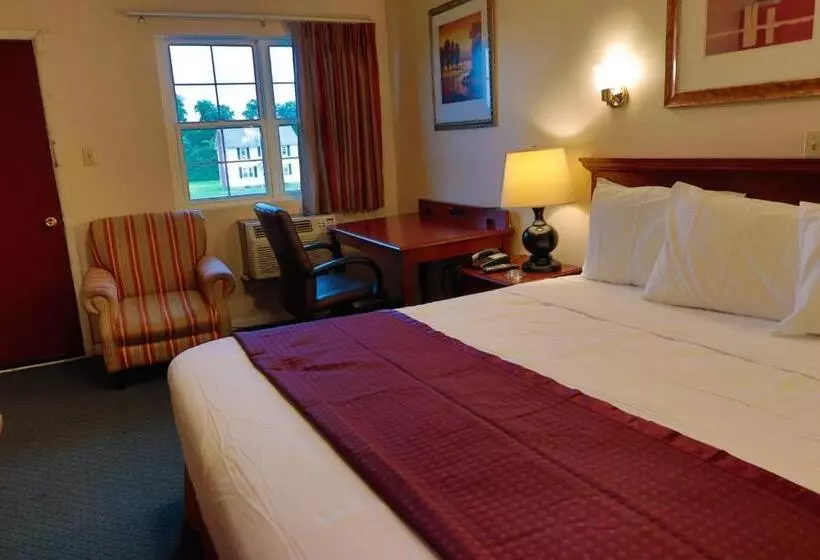 ホテル Red Carpet Inn Berlin