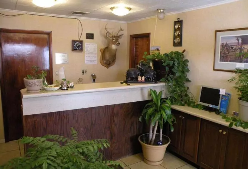 酒店 Scottish Inns Fayetteville