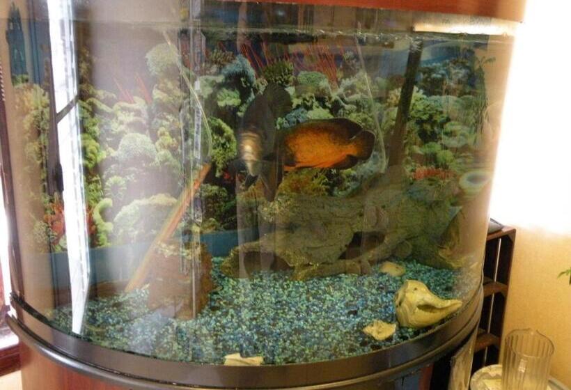 Отель Scottish Inns Fayetteville