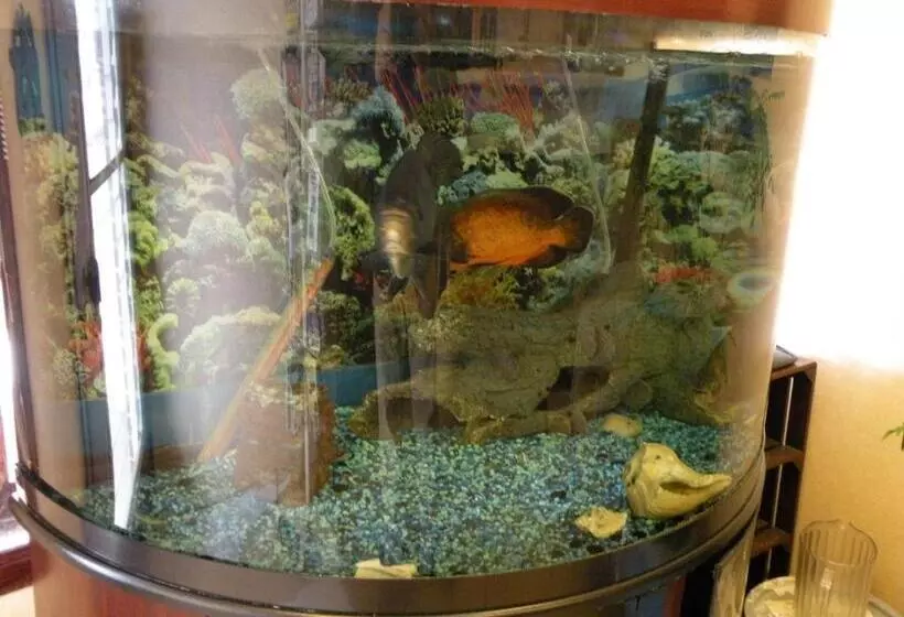 酒店 Scottish Inns Fayetteville