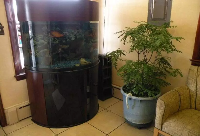 酒店 Scottish Inns Fayetteville