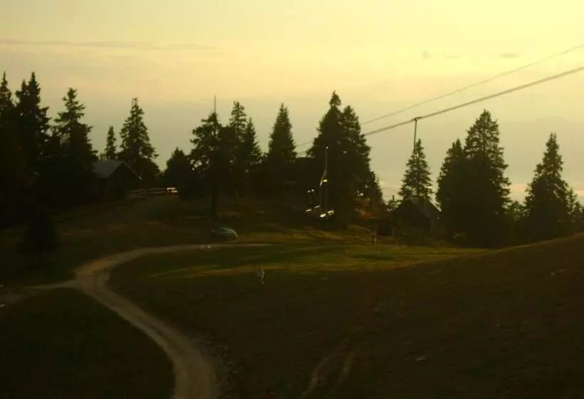 Отель Silvester