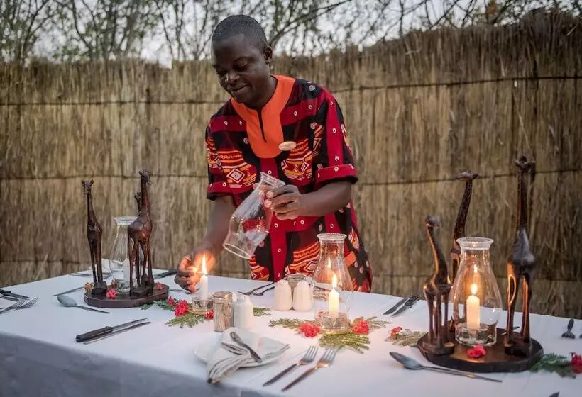 هتل Taita Falcon Lodge