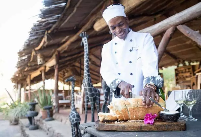 هتل Taita Falcon Lodge