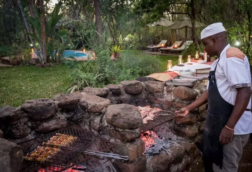 هتل Taita Falcon Lodge