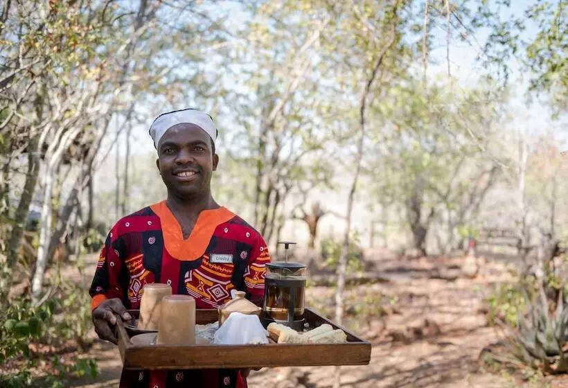 هتل Taita Falcon Lodge