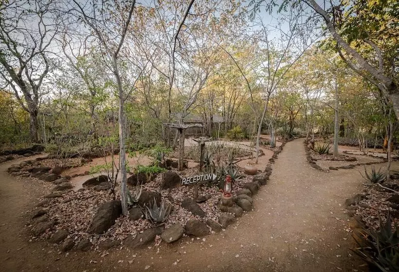 هتل Taita Falcon Lodge