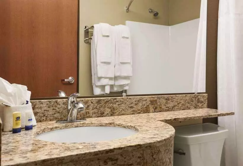 Microtel Inn & Suites Pleasanton