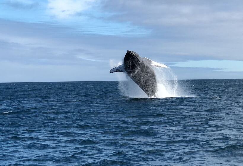 膳宿费 On The Beach Guesthouse Jeffreys Bay