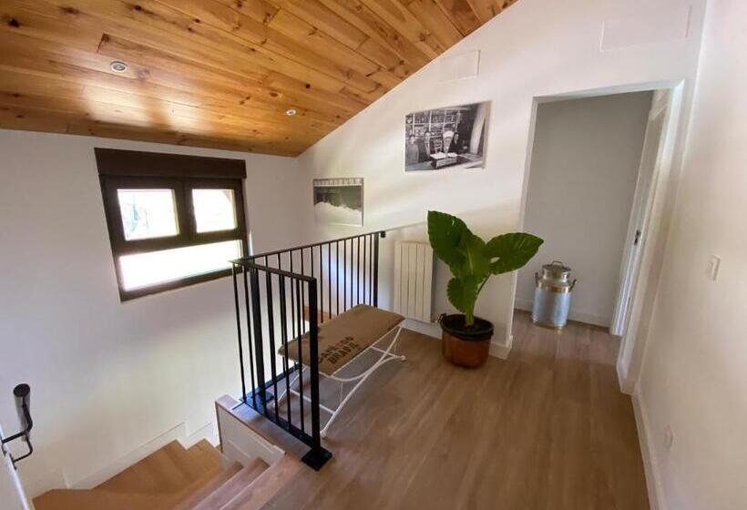 Casa Los Rinocerontes